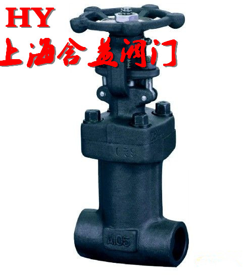 鍛鋼波紋管截止閥WJ61H WJ61Y_副本