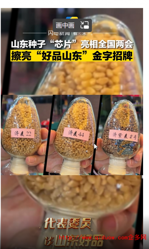 QQ圖片20230306094425
