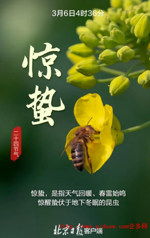 QQ圖片20230306100836