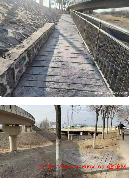 QQ圖片20230306101925