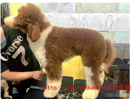 QQ圖片20230306103923