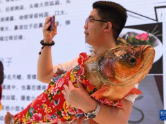 海外網(wǎng)評(píng)：中俄博覽會(huì)服務(wù)中俄，貢獻(xiàn)世界