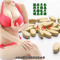 木瓜葛根片 番茄紅素片 苦瓜素片 壓片糖果 代加工 包衣片